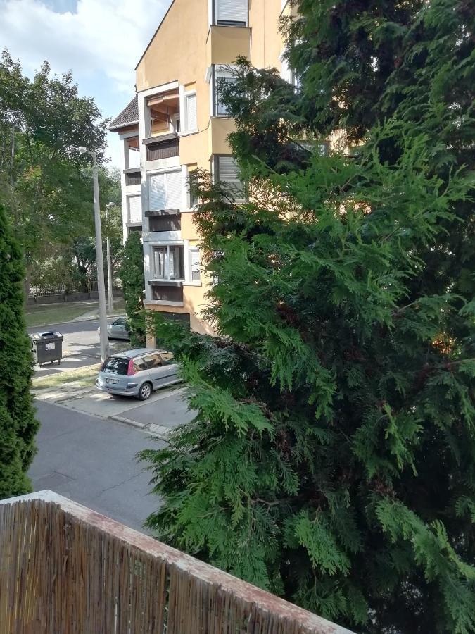 Ferienwohnung Rokus Apartman Szegedin Exterior foto